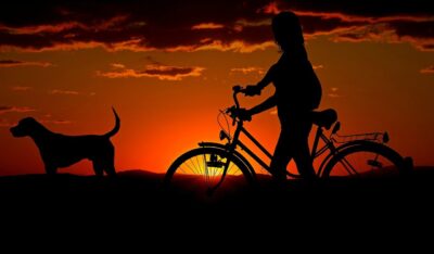 rower z psem